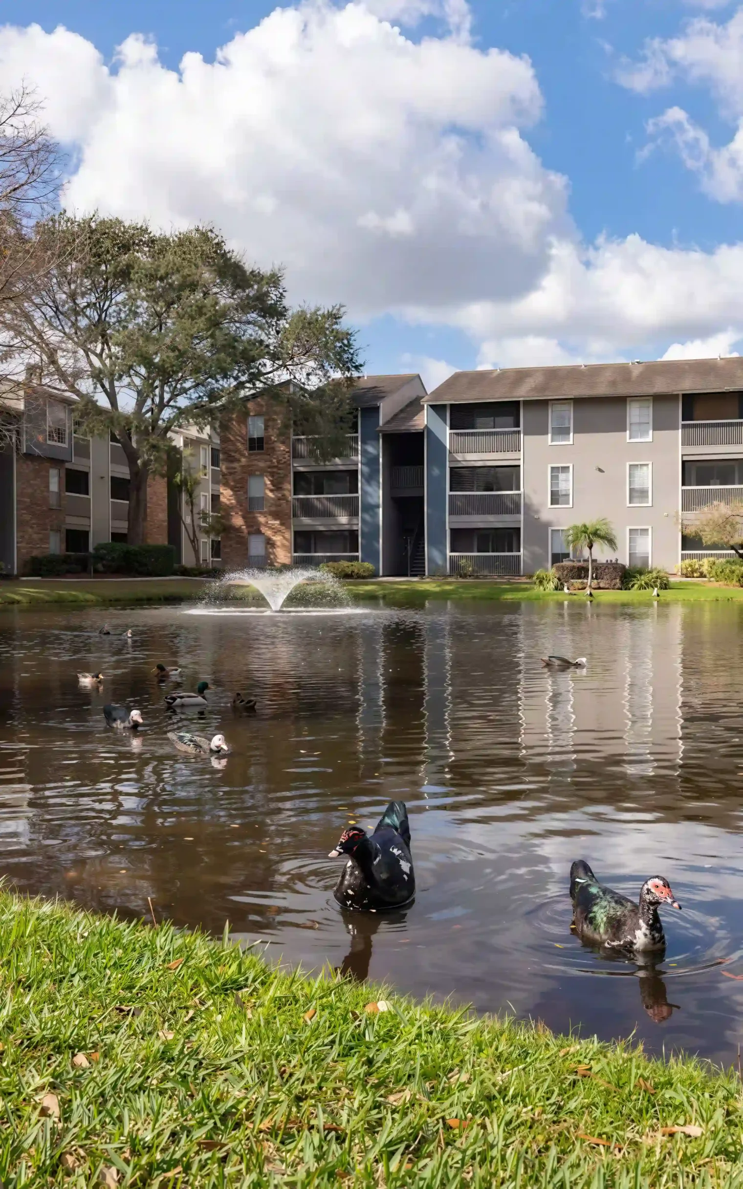 Arbour Ponds Apartments 9