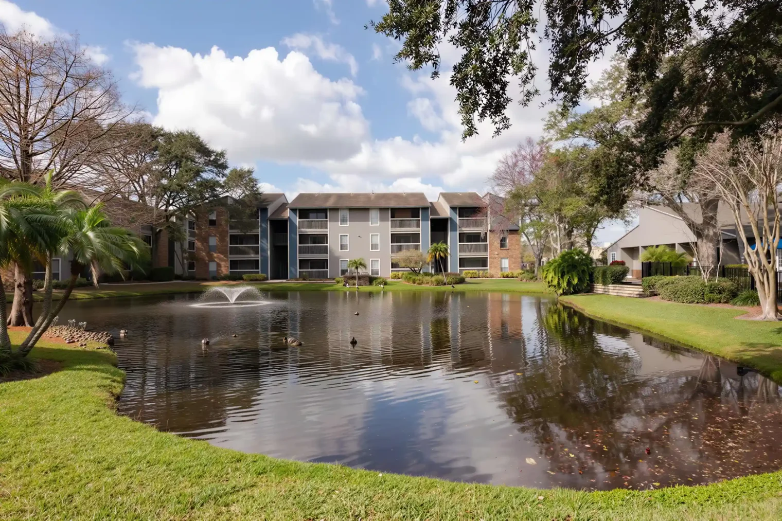 Pond and landscaped grounds at Arbour Ponds Apartments in Tampa, Florida