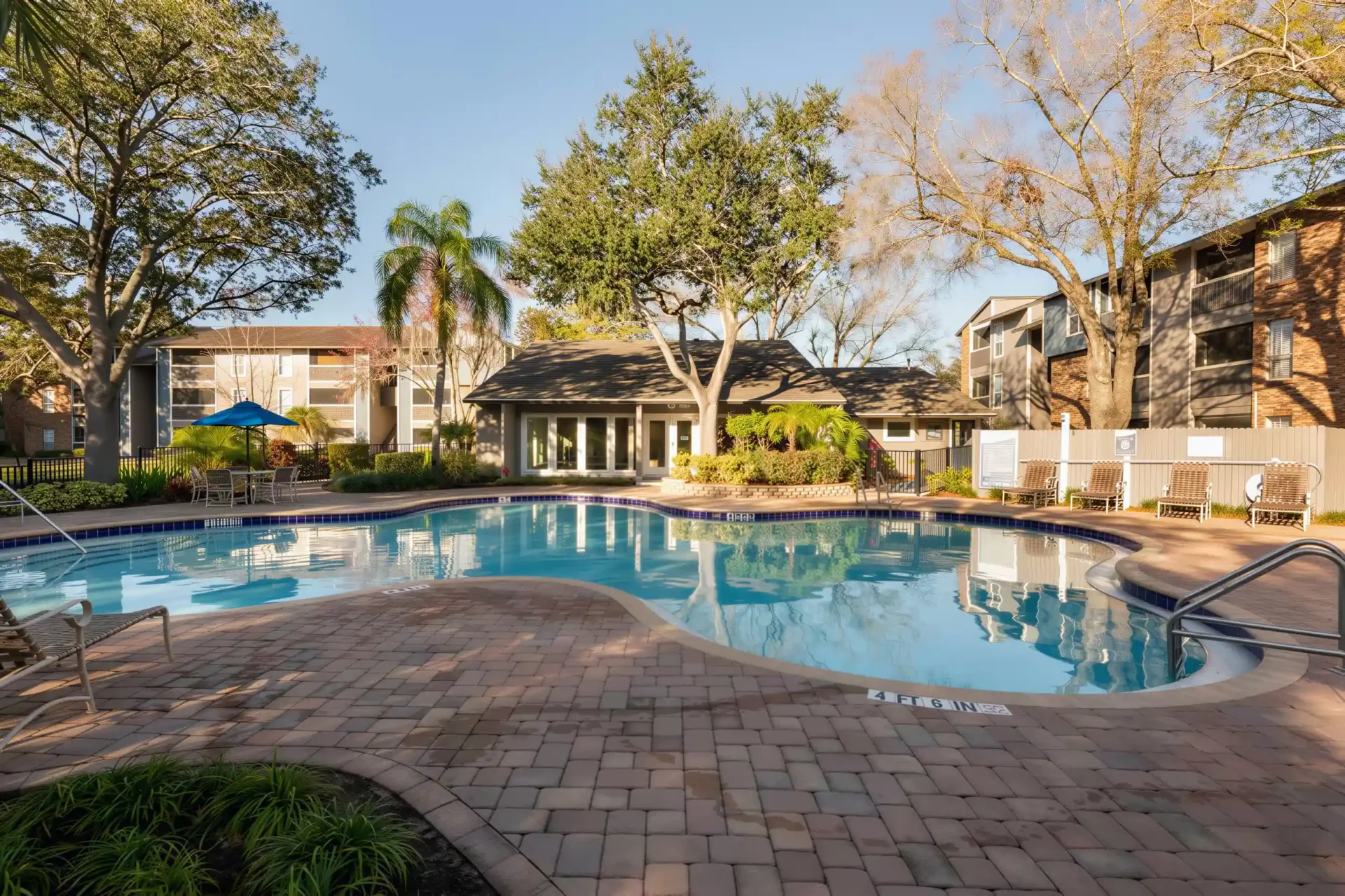Swimming pool with lounge seating at Arbour Ponds Apartments in Tampa, FL